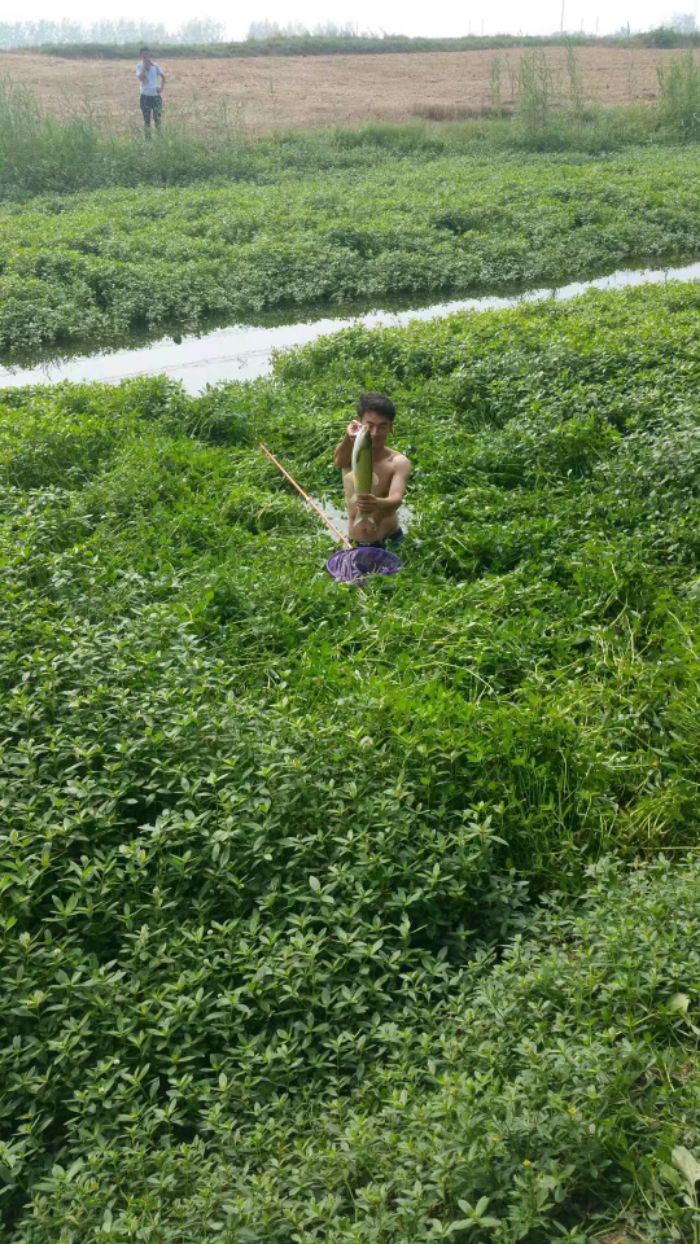 1499249485954.jpeg 1499249485954.jpeg