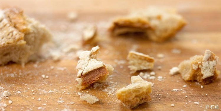 你知道在外国人冬钓,都用哪些诱饵吗? - 好钓鱼