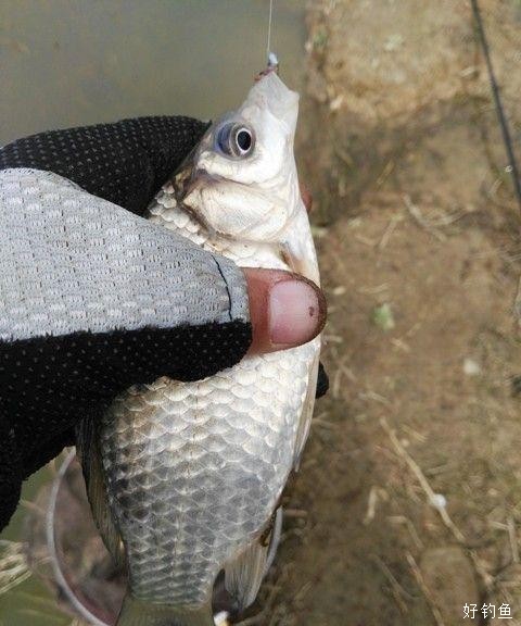 155893_221854u3x3ogr1ogfdoqrg.jpg
