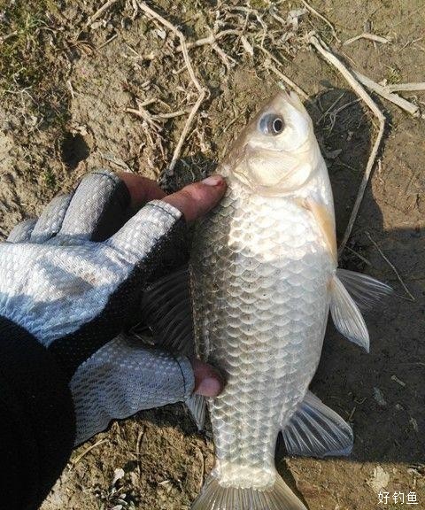 155893_222623xt42gjy3js2922s9.jpg