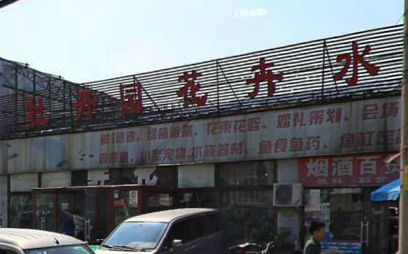 小丫头渔具店
