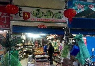 老马渔具店