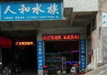 人和水族