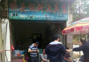 桥头饲料渔具店