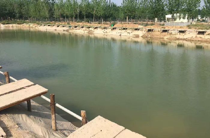 鱼跃江湖速钓场申李村