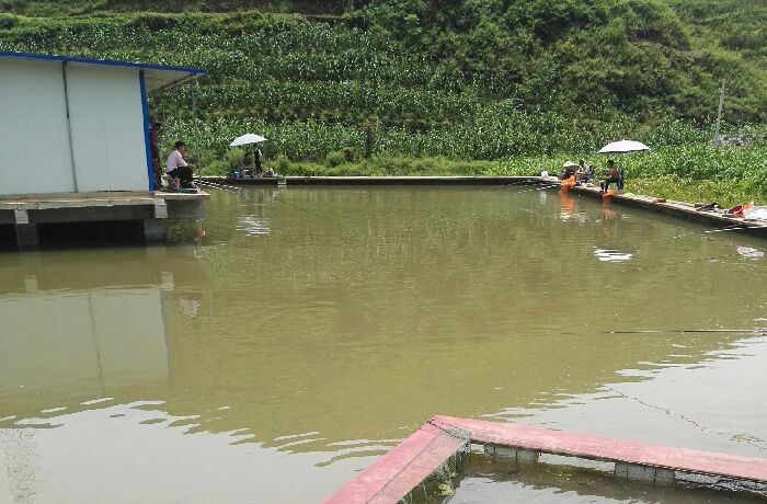 鸭池镇石格村小羊角冲鱼塘