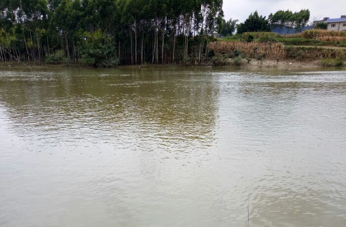 武鸣区旧交警后面