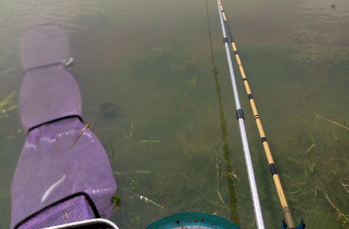 江大对面长江村江边