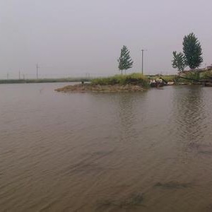 张白谷村西大河