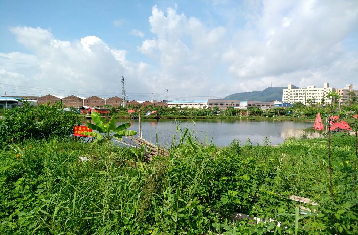 御花园休闲垂钓基地