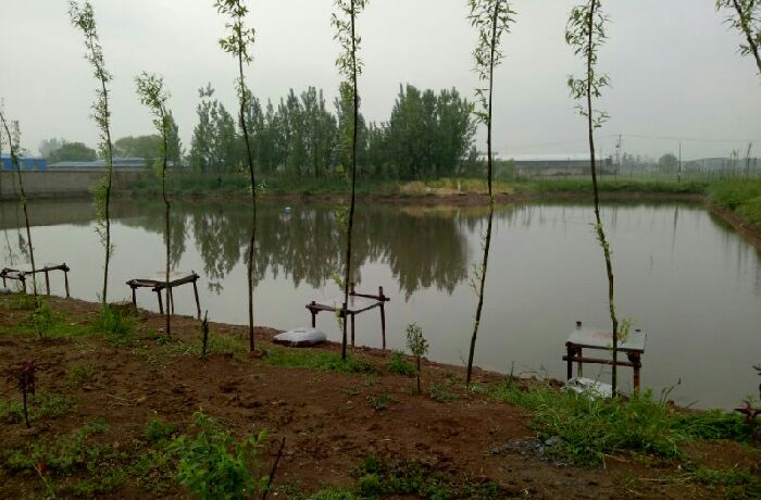 白集渔栎垂钓中心