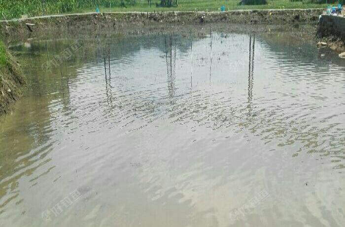 鸭池十八保富鱼塘