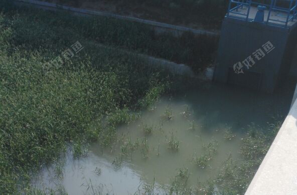 石津灌区郝家营段