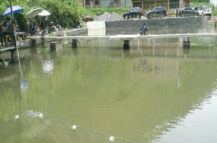 鸭池镇石格村胡凯鱼业养殖场