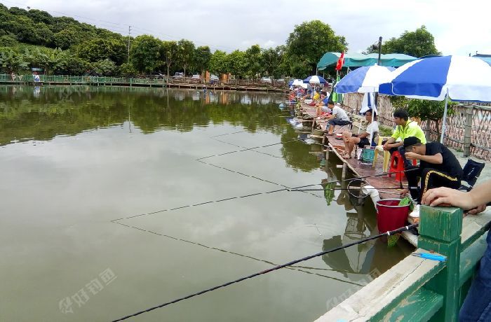 宝庆生态山庄钓鱼场