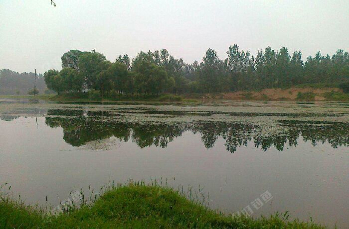 郏县广天乡毛主席相向南