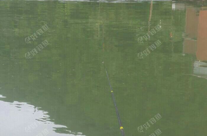 中和营三九二钓场