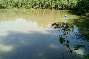 新娱乐无穷钓场