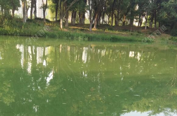 钟南街地铁口河边