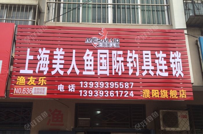 上海美人鱼