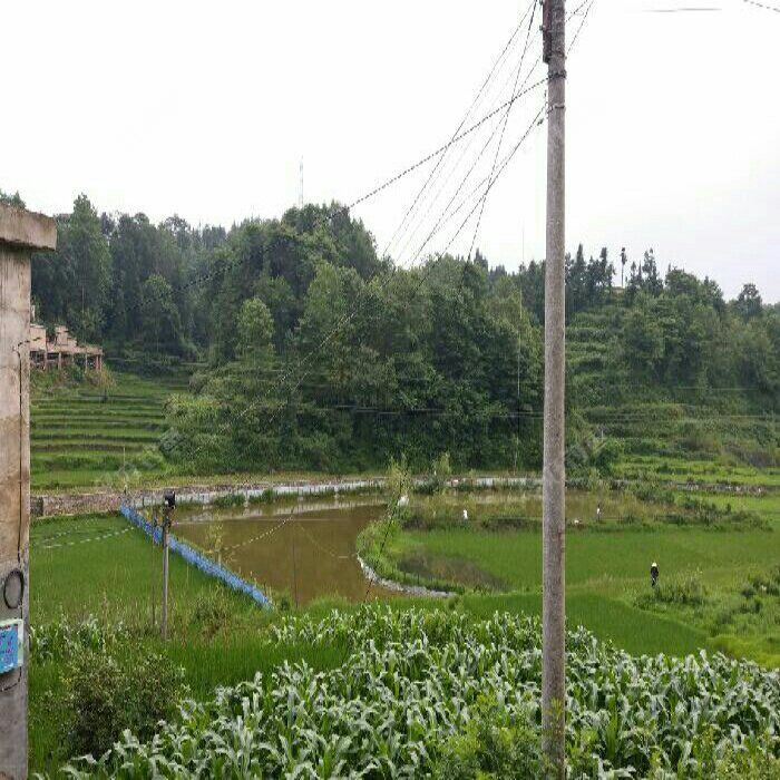 席关村徐家鱼塘