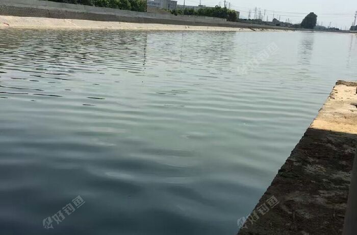 戴家门大桥下面