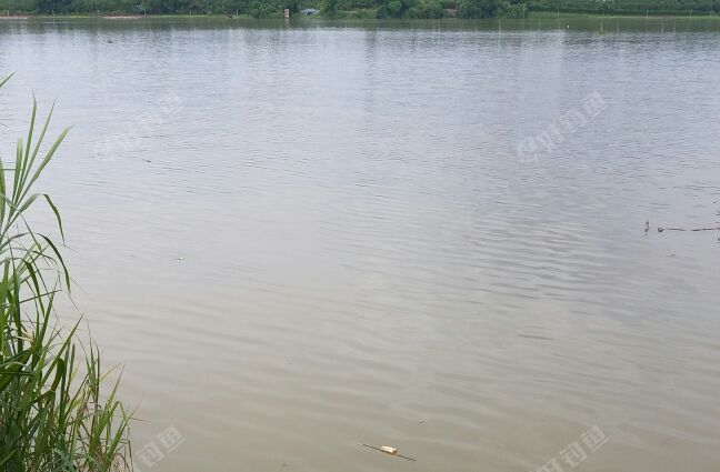 下角银河湾排涝站