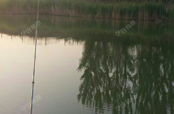 潴龙河南绪口段