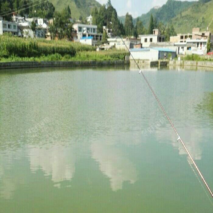 纳雍县新房乡以角村街边鱼塘