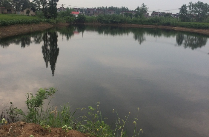 村塘