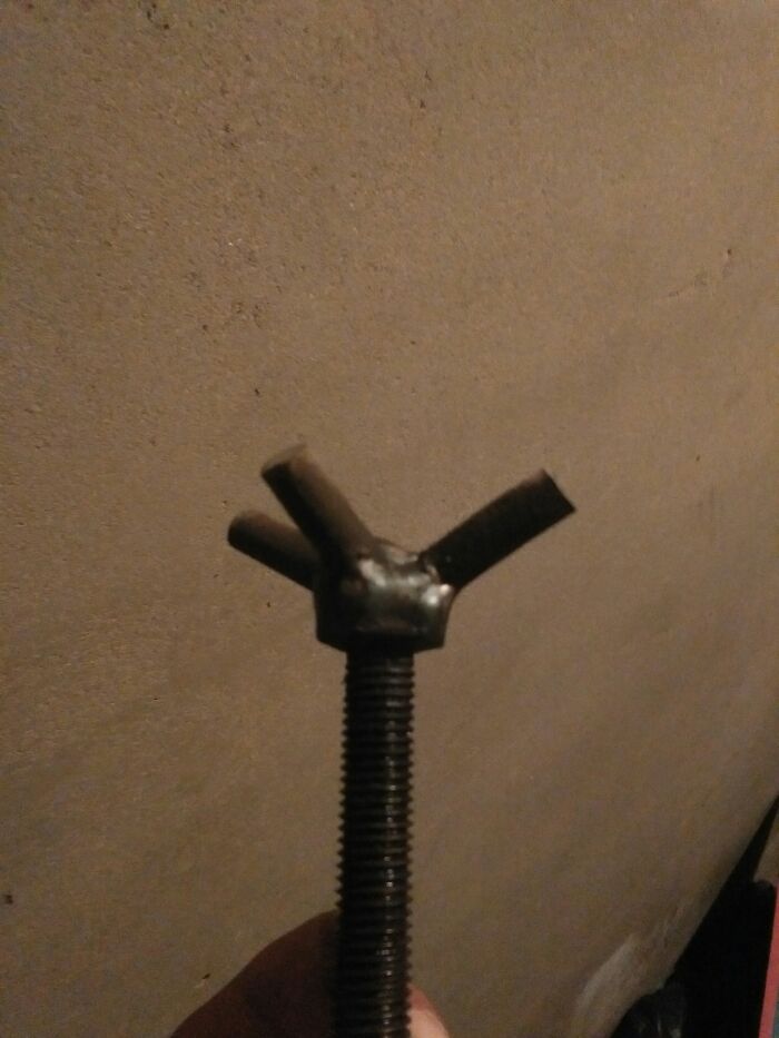 IMG_20170802_172759.jpeg IMG_20170802_172759.jpeg