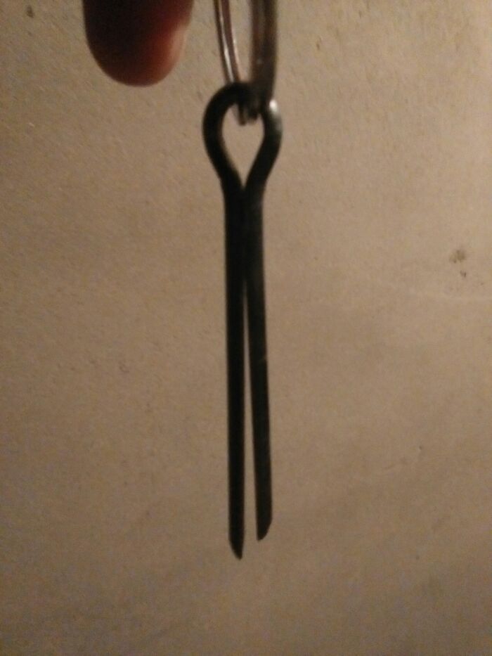 IMG_20170802_172741.jpeg IMG_20170802_172741.jpeg