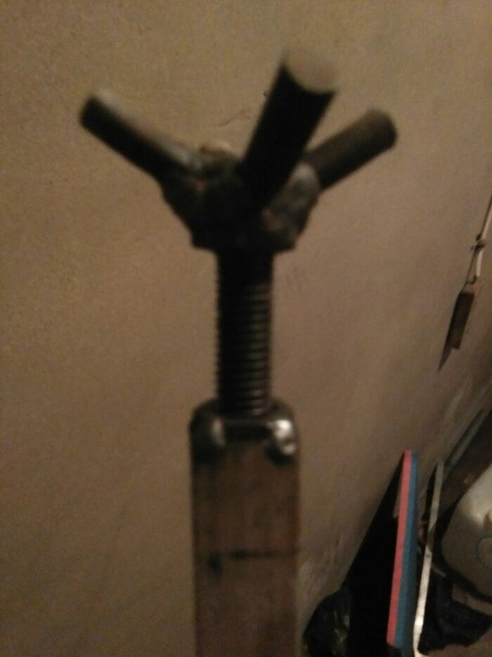 IMG_20170802_172821.jpeg IMG_20170802_172821.jpeg