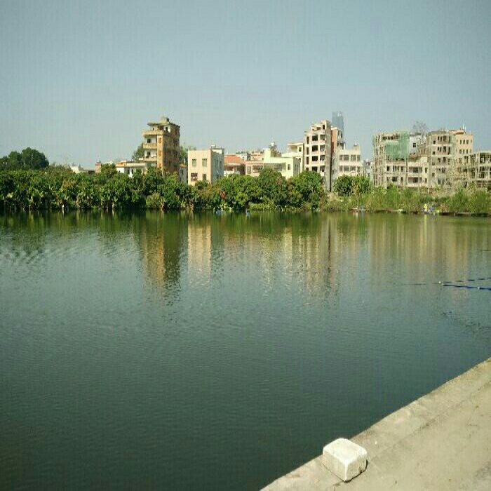 @新湖记钓场18933261980