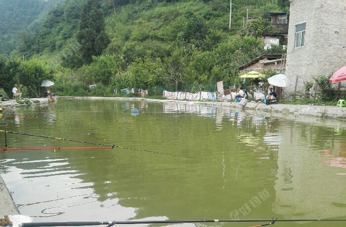 碧海办事处宋家湾鱼塘