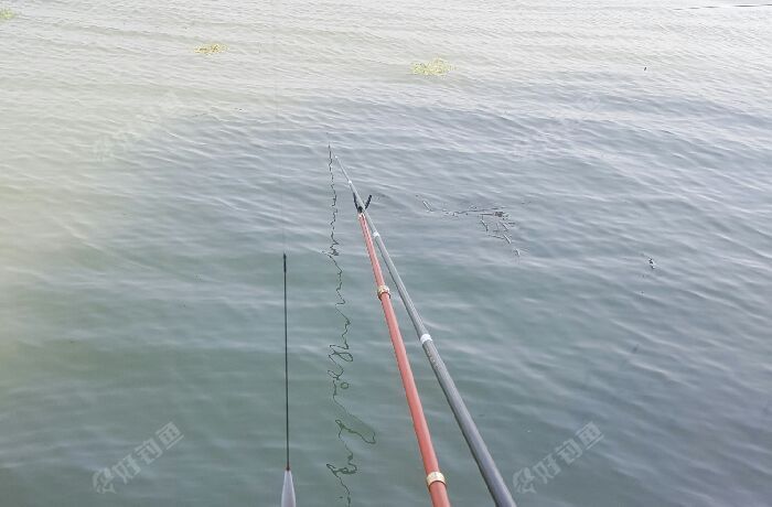 太湖垂钓