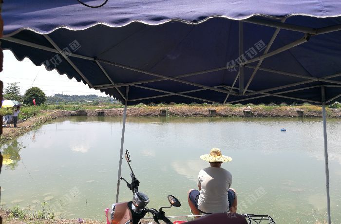 新圩欢乐钓鱼场