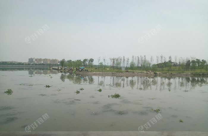 江滨西路与振兴西路交界