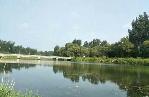 桥东村大桥右侧