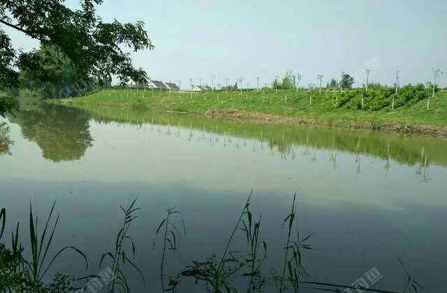 清水村灌溉水源河道