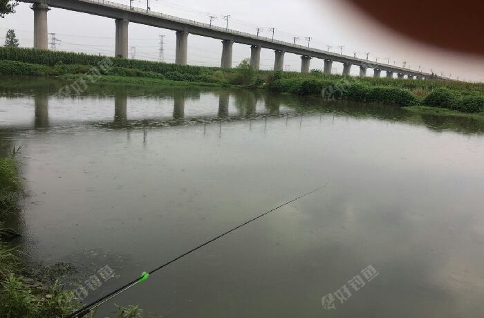 洪河高宝路段