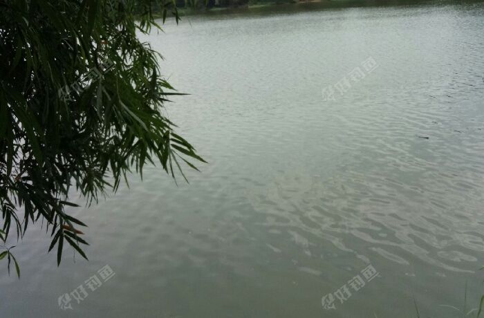 英华水电站上游