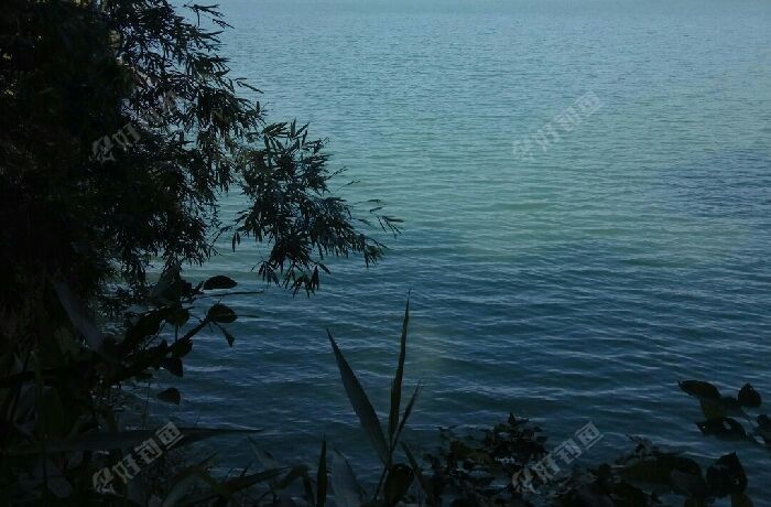 流溪河花都巷头段