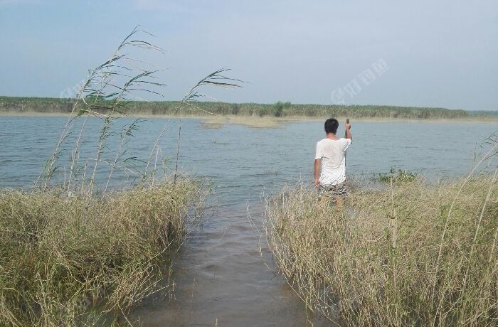 监利县鄢铺渡口对面小洲头