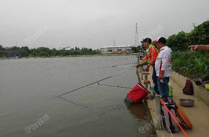 珠海易泰生态园垂钓场