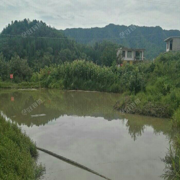 八堡乡海龙村小鱼塘