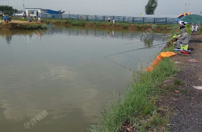 西楼二红垂钓园