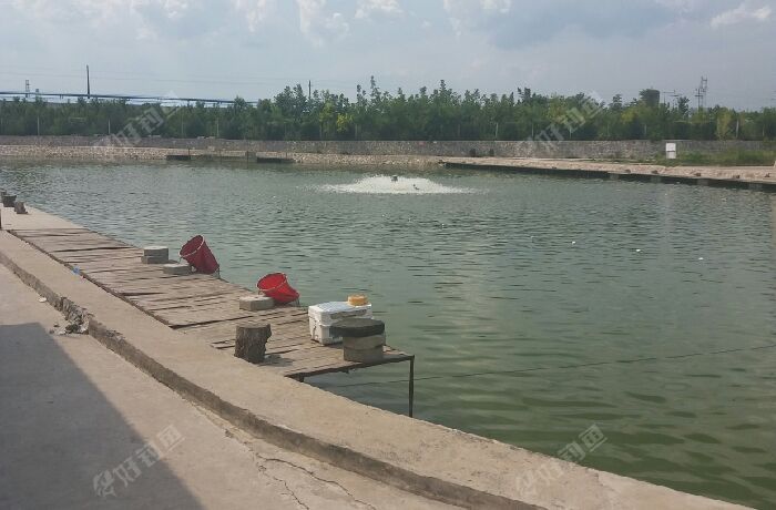 菁华庄园垂钓园