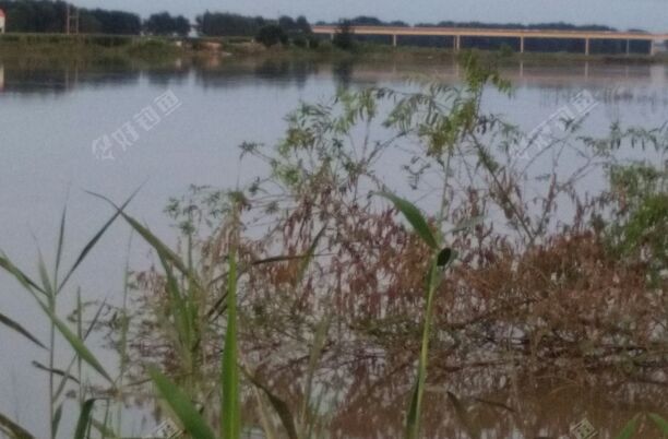 天河大桥二号抗