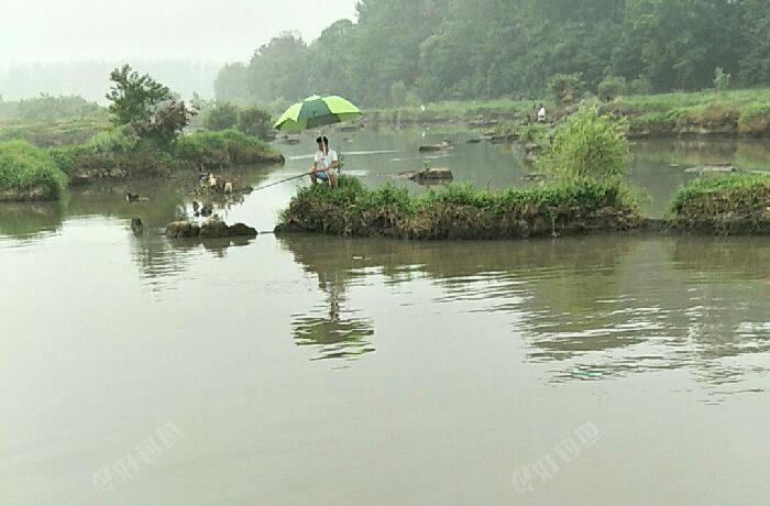 双柳树镇白鹭河